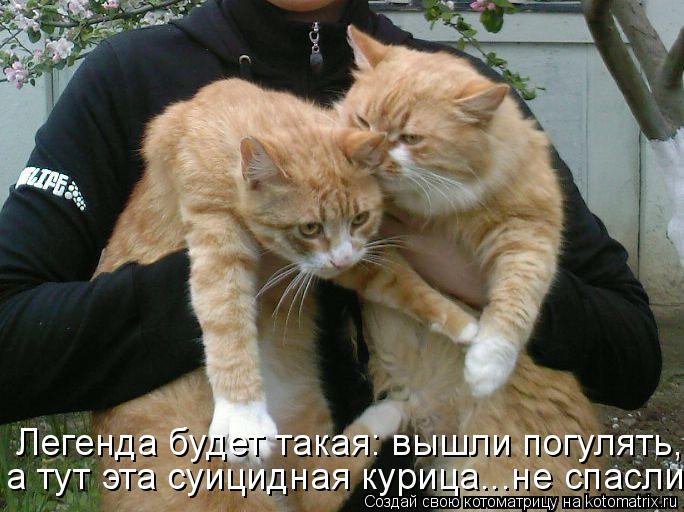 Это точно картинки с надписями прикольные